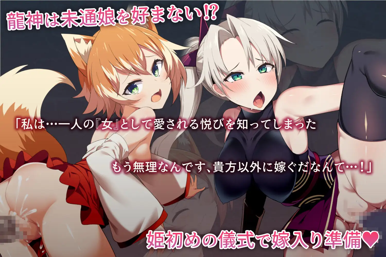 我将她献给龙神~被献祭的巫女们~ 图片 2