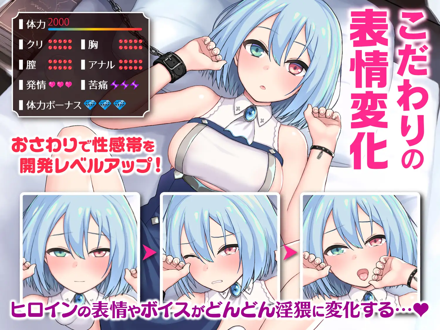 インペリアルハーレム｜帝国后宫 图片 4