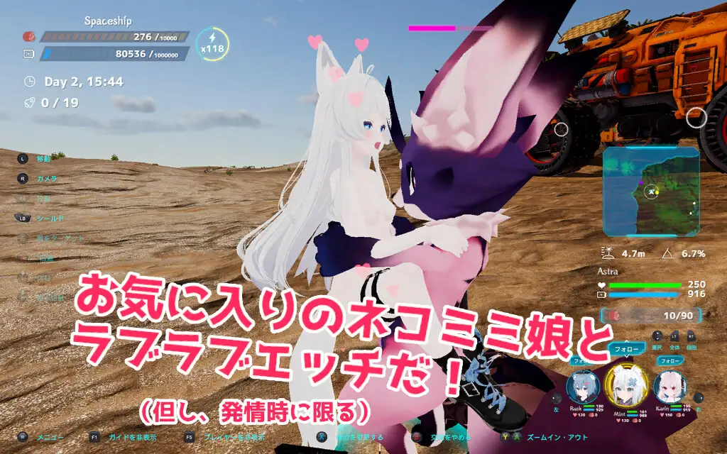ネコットアイランド｜NEKOTTO岛 图片 6