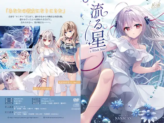 流る星-a Wish Star- 图片 1