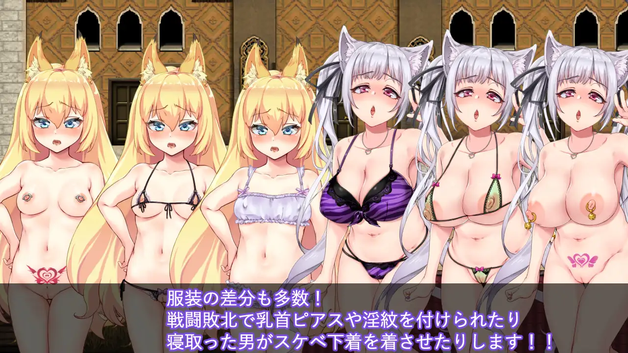 獣耳乙女は裏切らない 图片 7