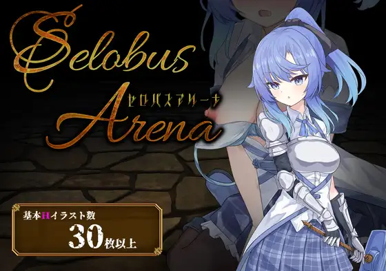 SelobusArena 图片 1