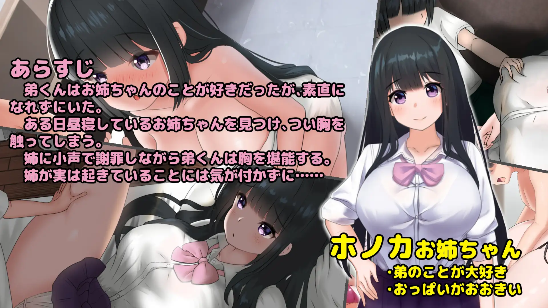 お姉ちゃんは弟くんに襲われたい!｜姐姐想被弟弟侵犯！ 图片 3