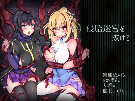侵胎迷宮を抜けて 图片 1