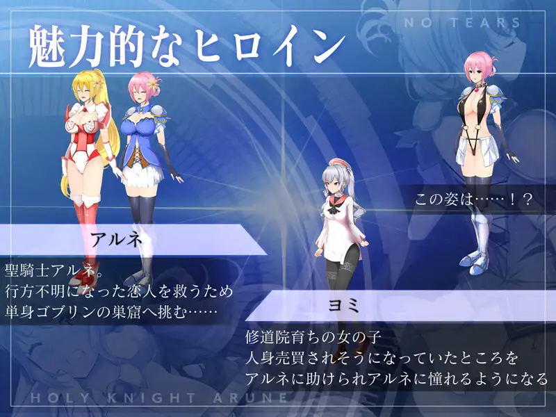 聖騎士アルネと魔孕の呪印～Another No Tears～ 图片 6