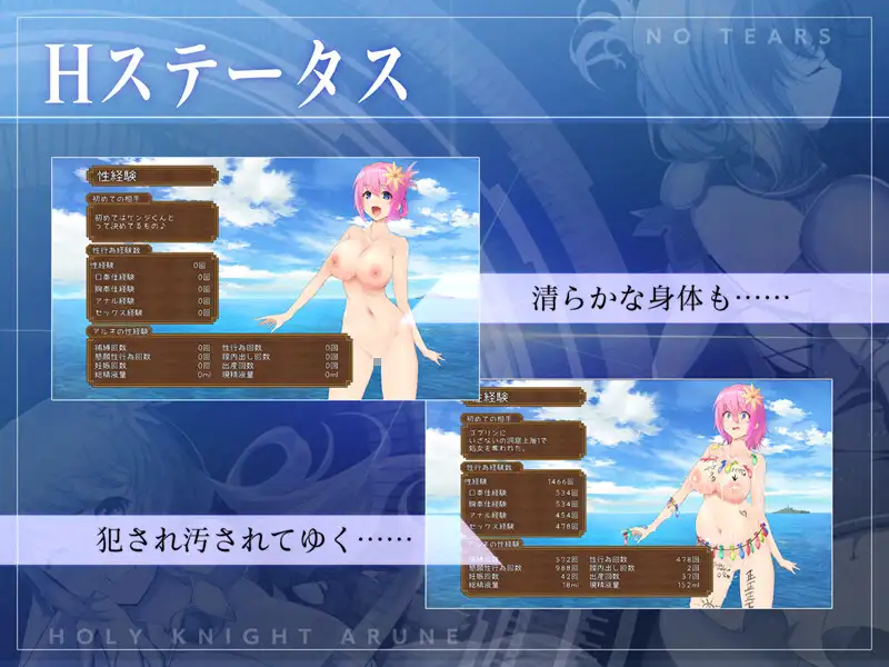 聖騎士アルネと魔孕の呪印～Another No Tears～ 图片 7