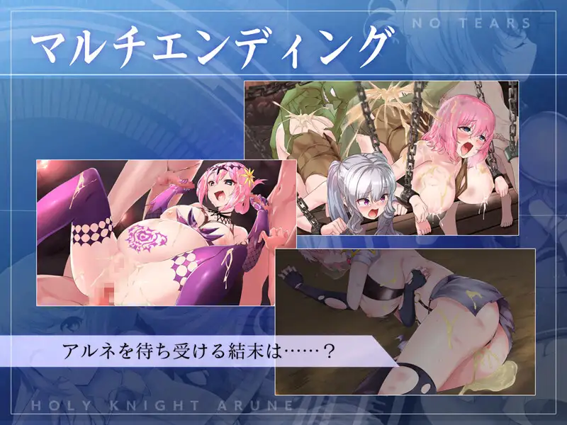 聖騎士アルネと魔孕の呪印～Another No Tears～ 图片 11