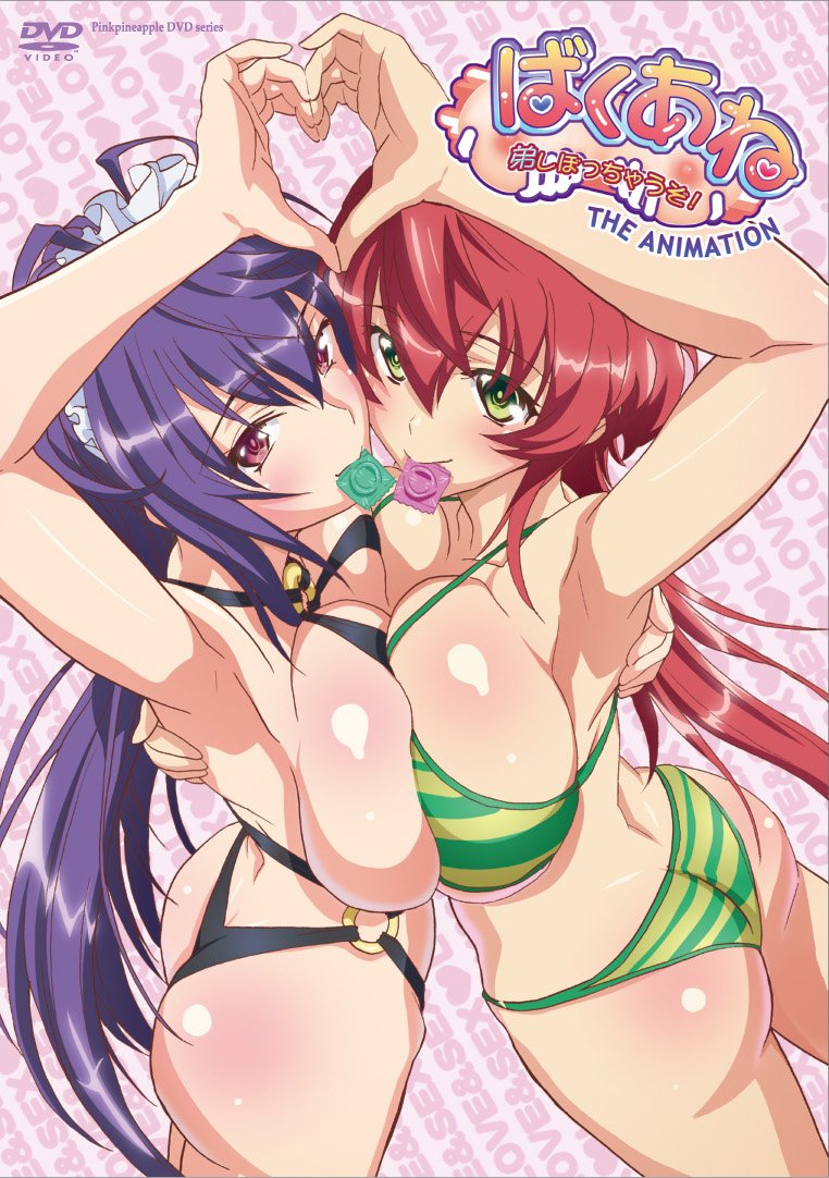 ばくあね 弟しぼっちゃうぞ！ THE ANIMATION 图片 1